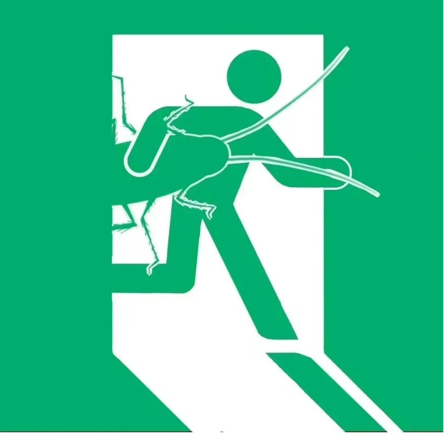 测不准の芙莉莲同学