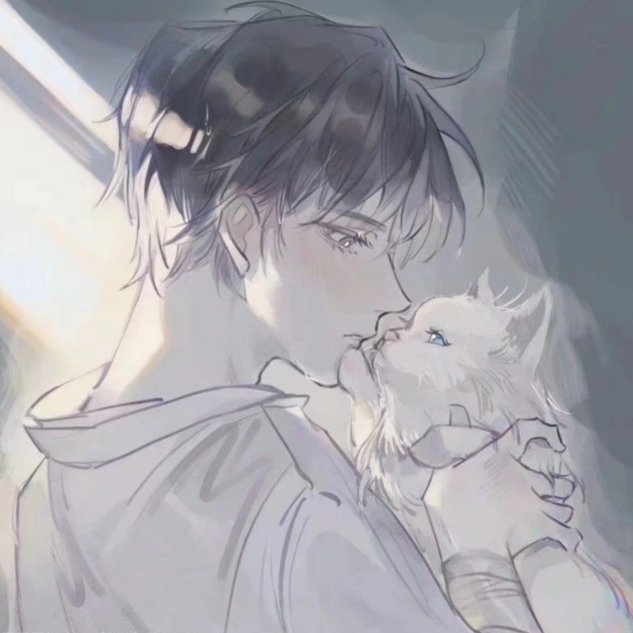 茶系少年绿茶菌