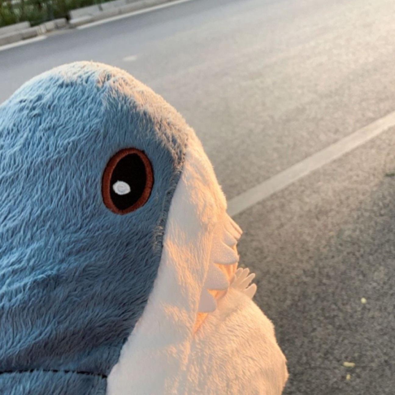 鲨鲨酱