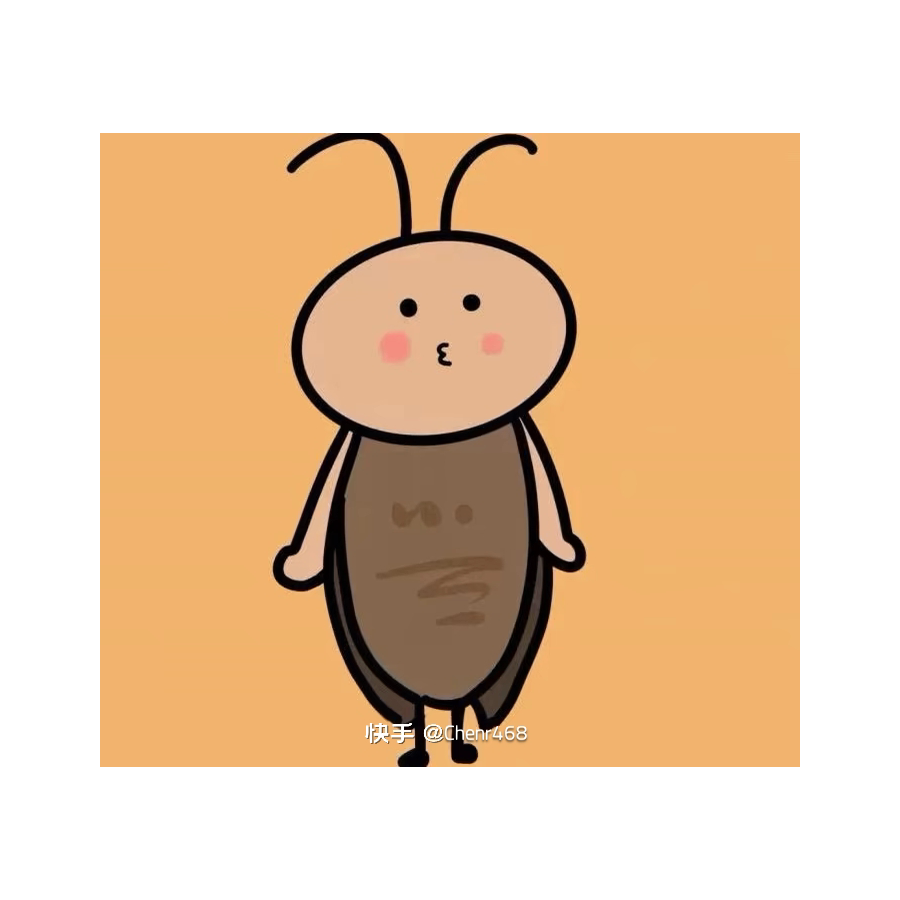 不做小困包