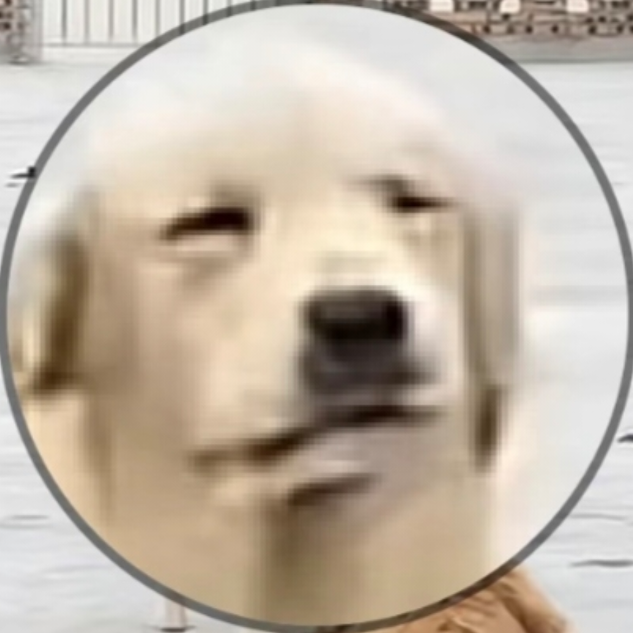 君莫笑