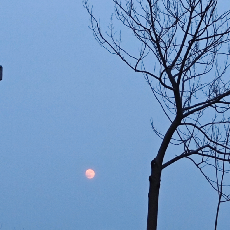 干点儿人事儿吧