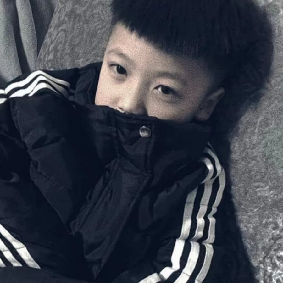 晚枫歌
