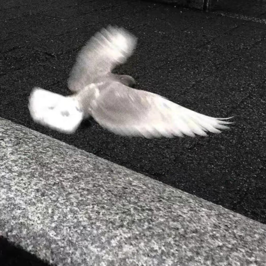 永远