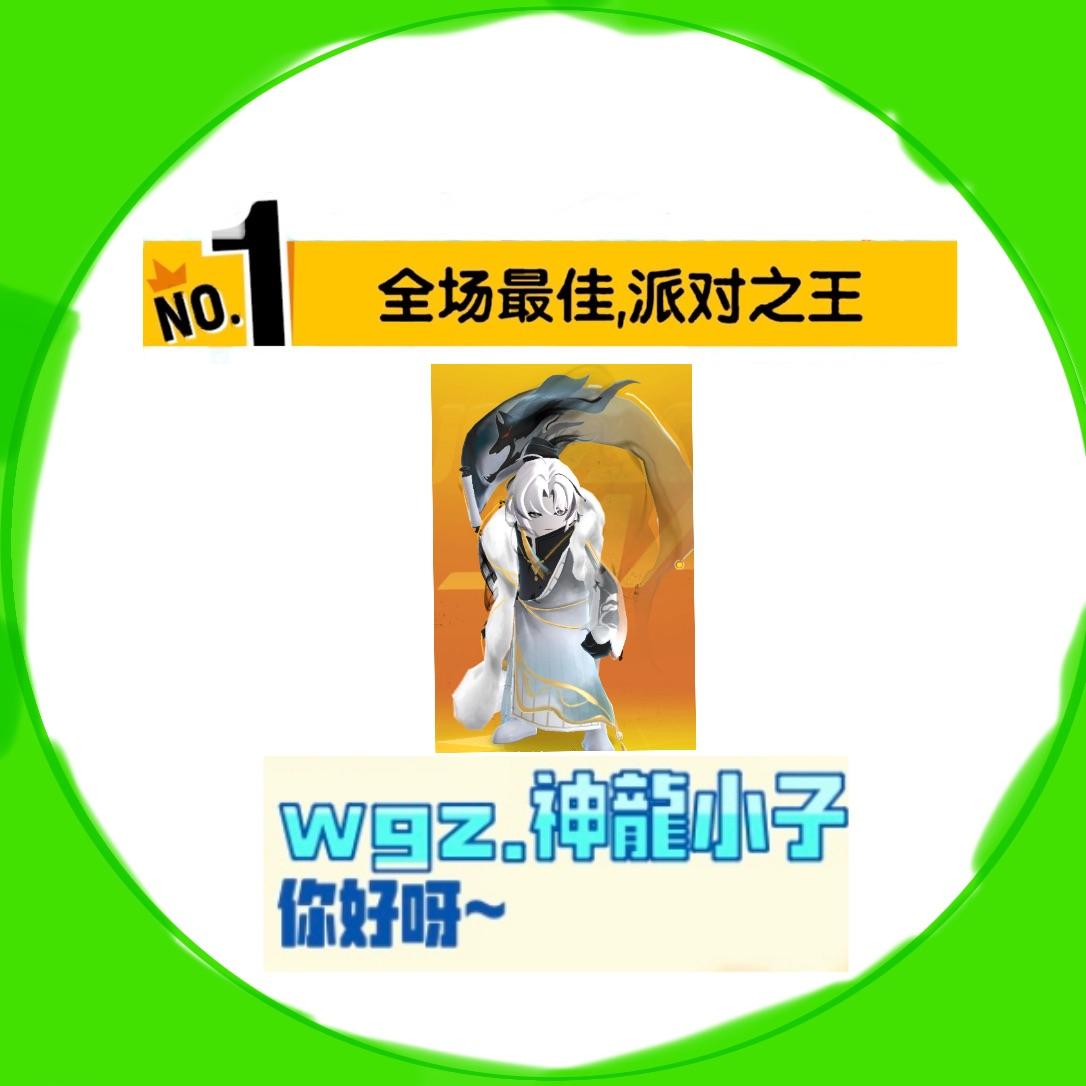 wgz.电摇小子