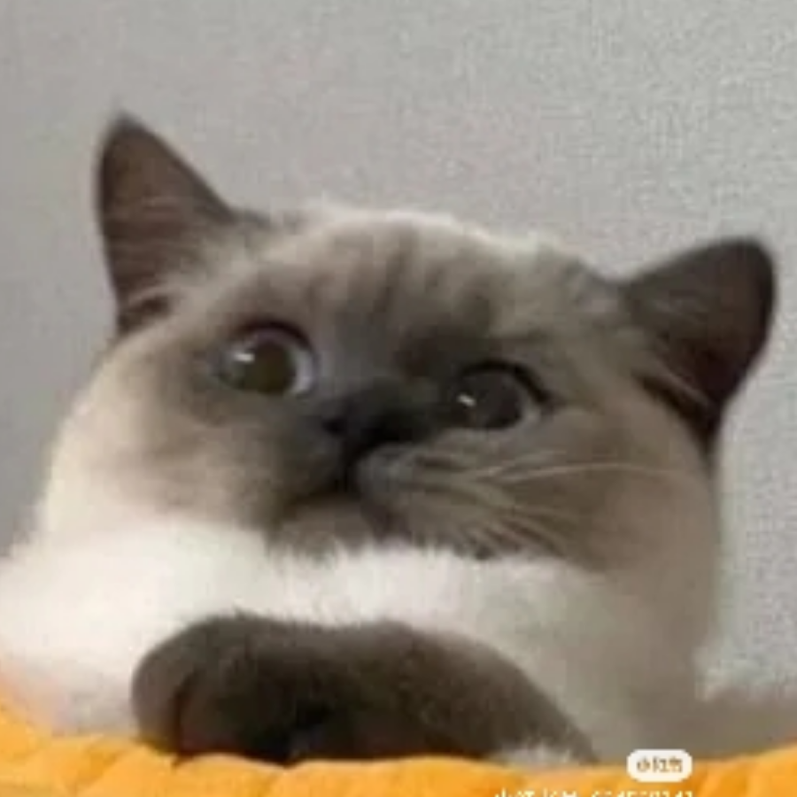 敢敢💤