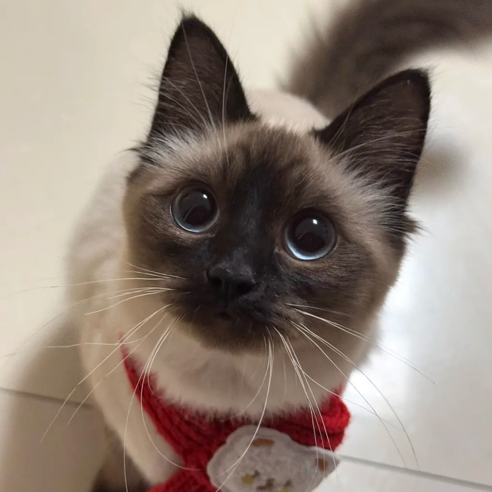 他眼中有星星和剑