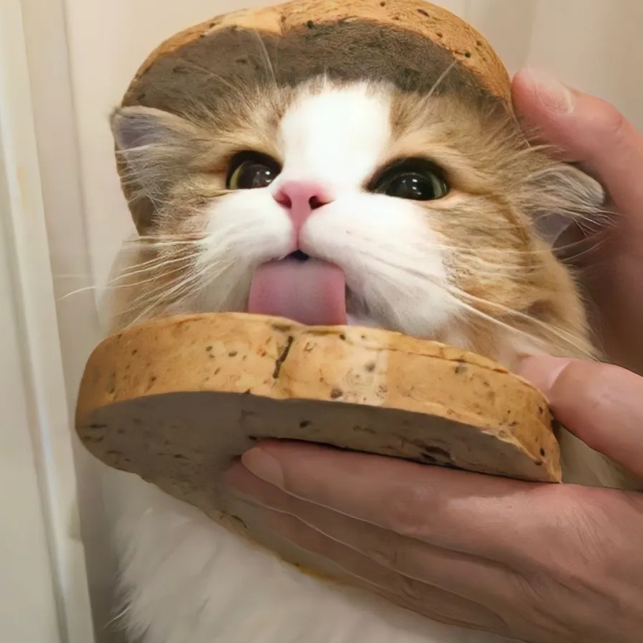 阳