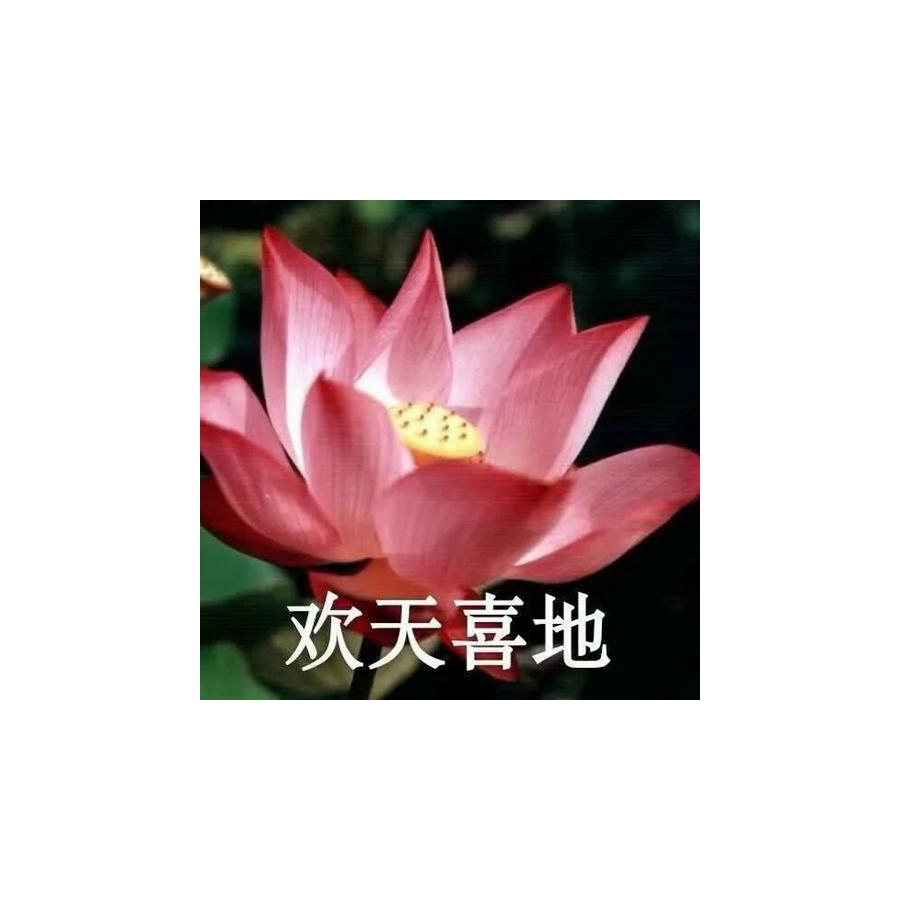 丸辣