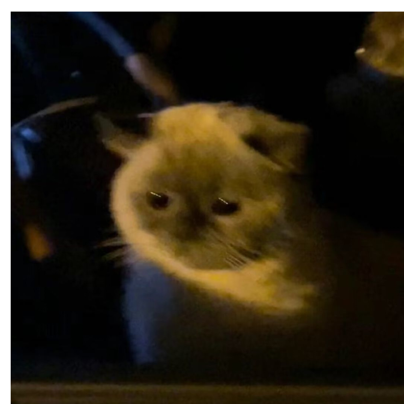 眠
