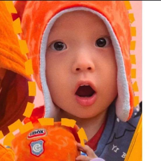 猪猪侠不吃香菜