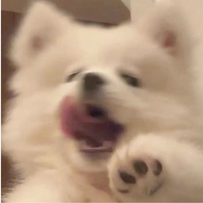 盖亚狗狗