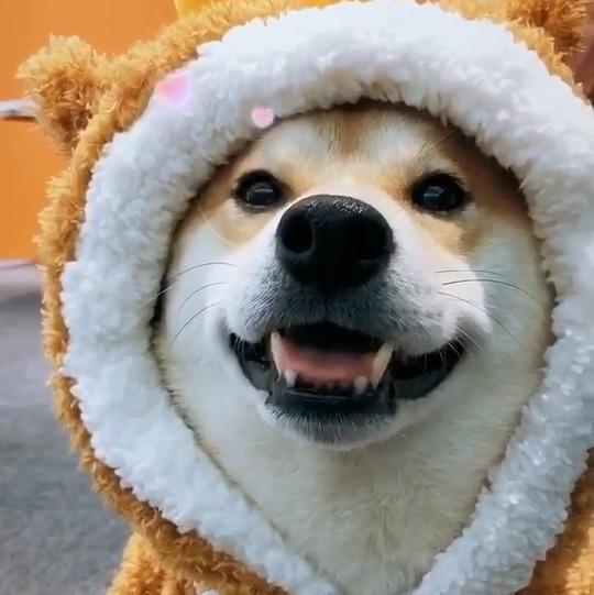萧瑟