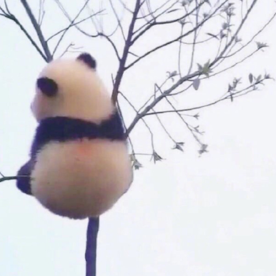 长安