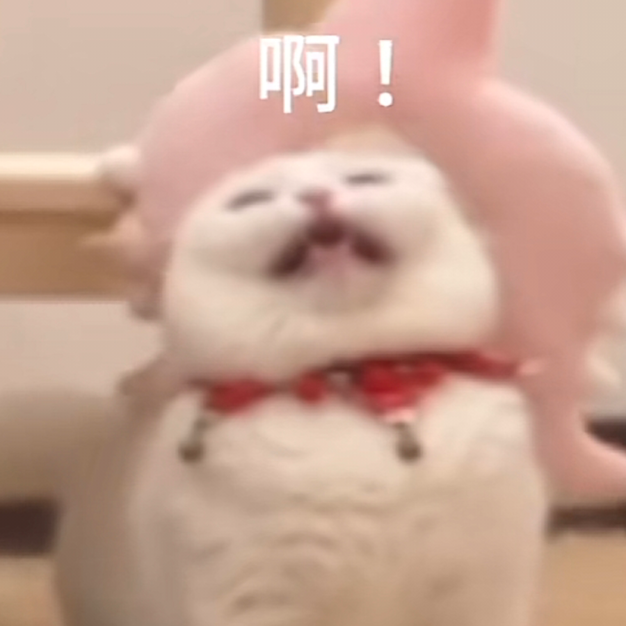 爱吃草莓的音音