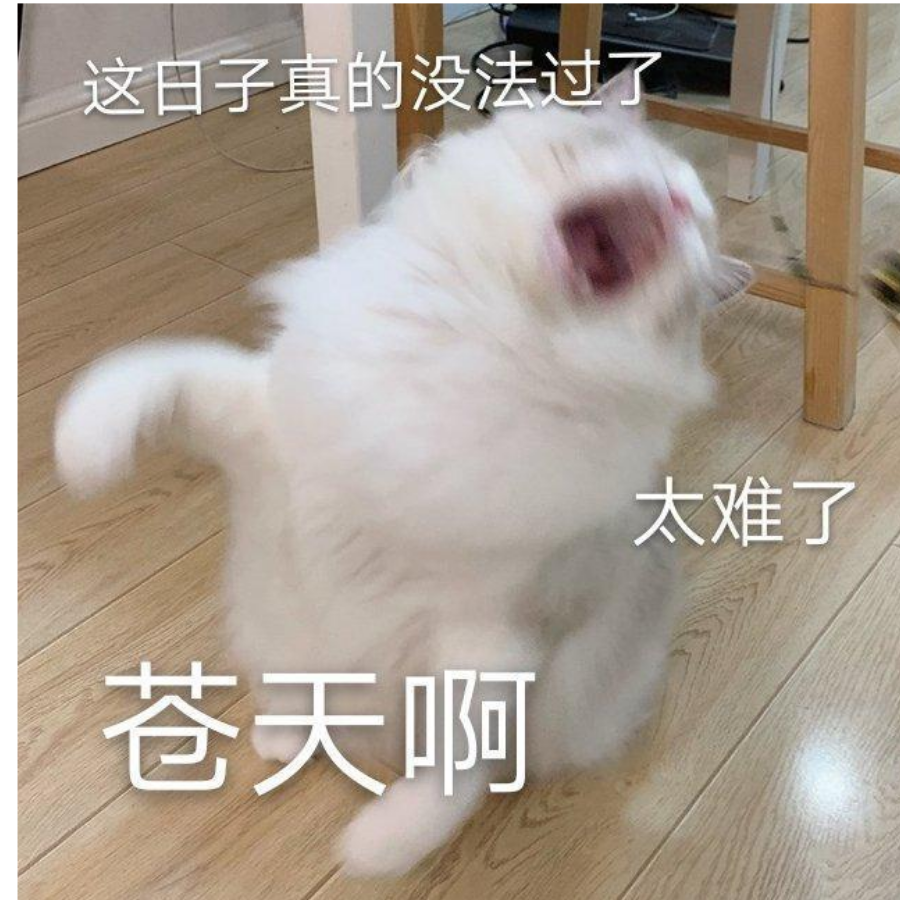 白阎