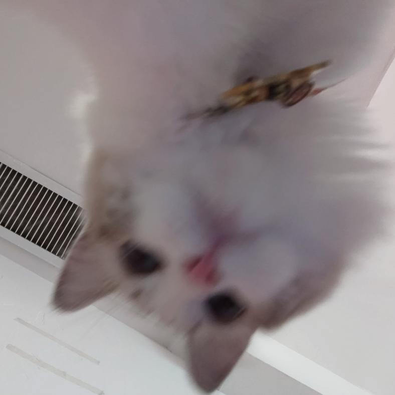 天爻