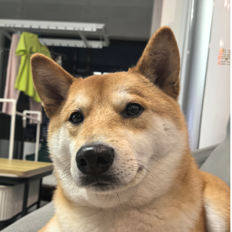 汤先生