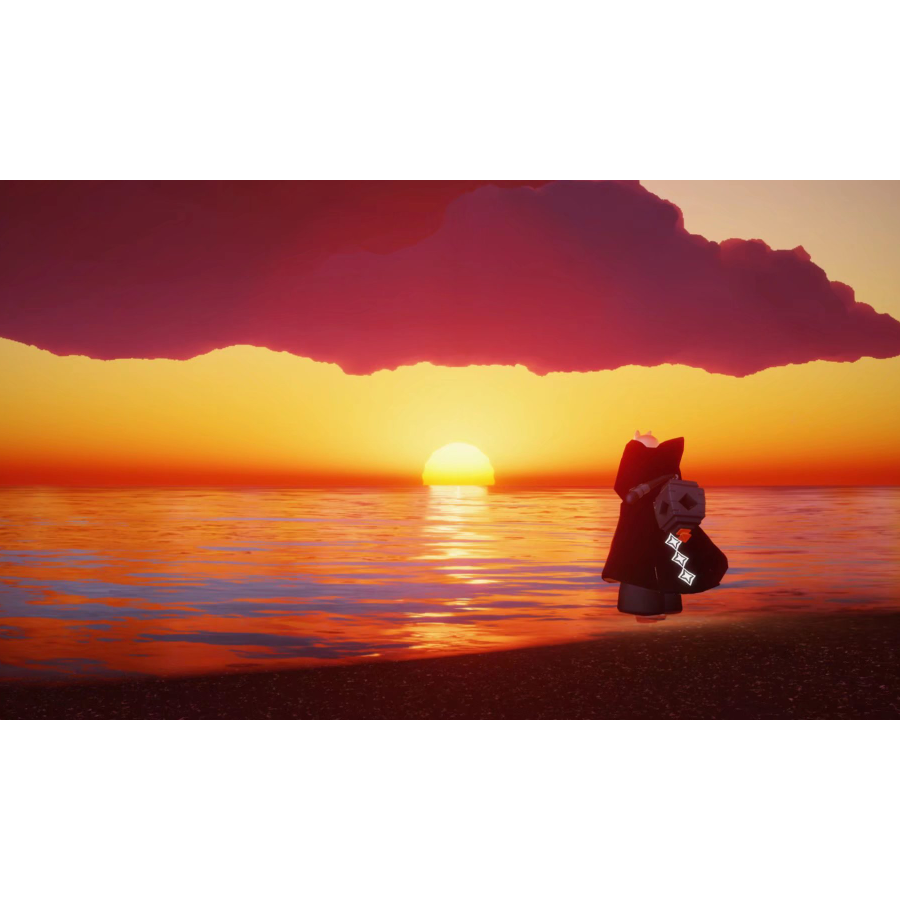 薛定谔的猫先生