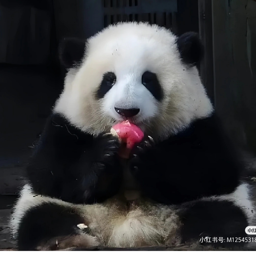 无二三