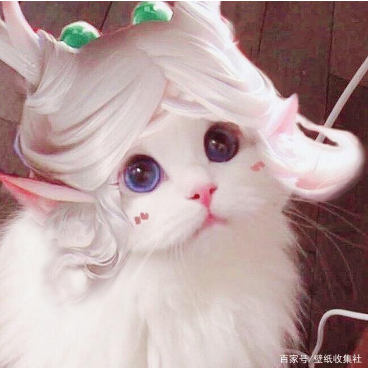 茉莉花灬白茶