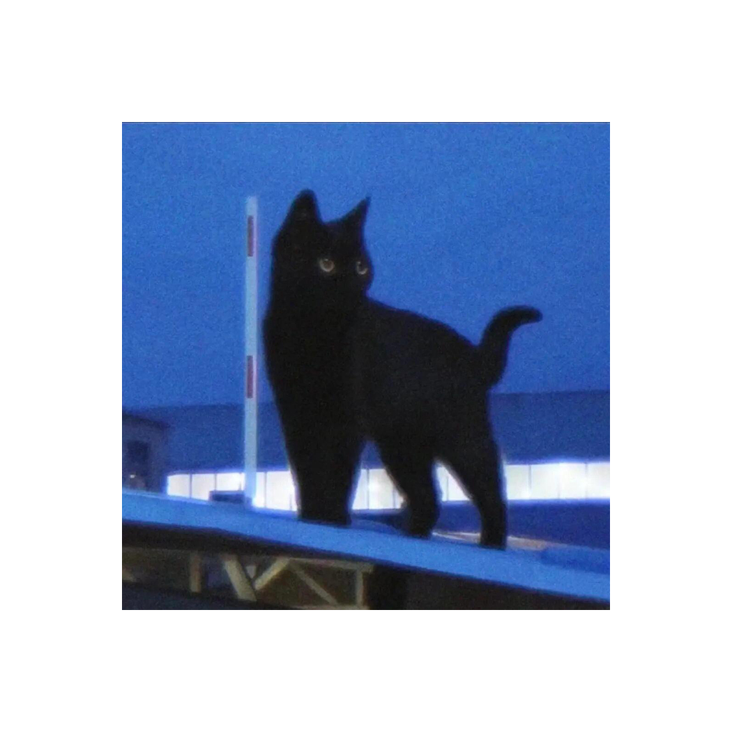 叶猫子