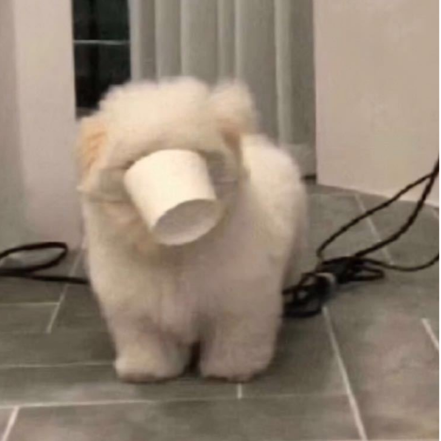 渡己