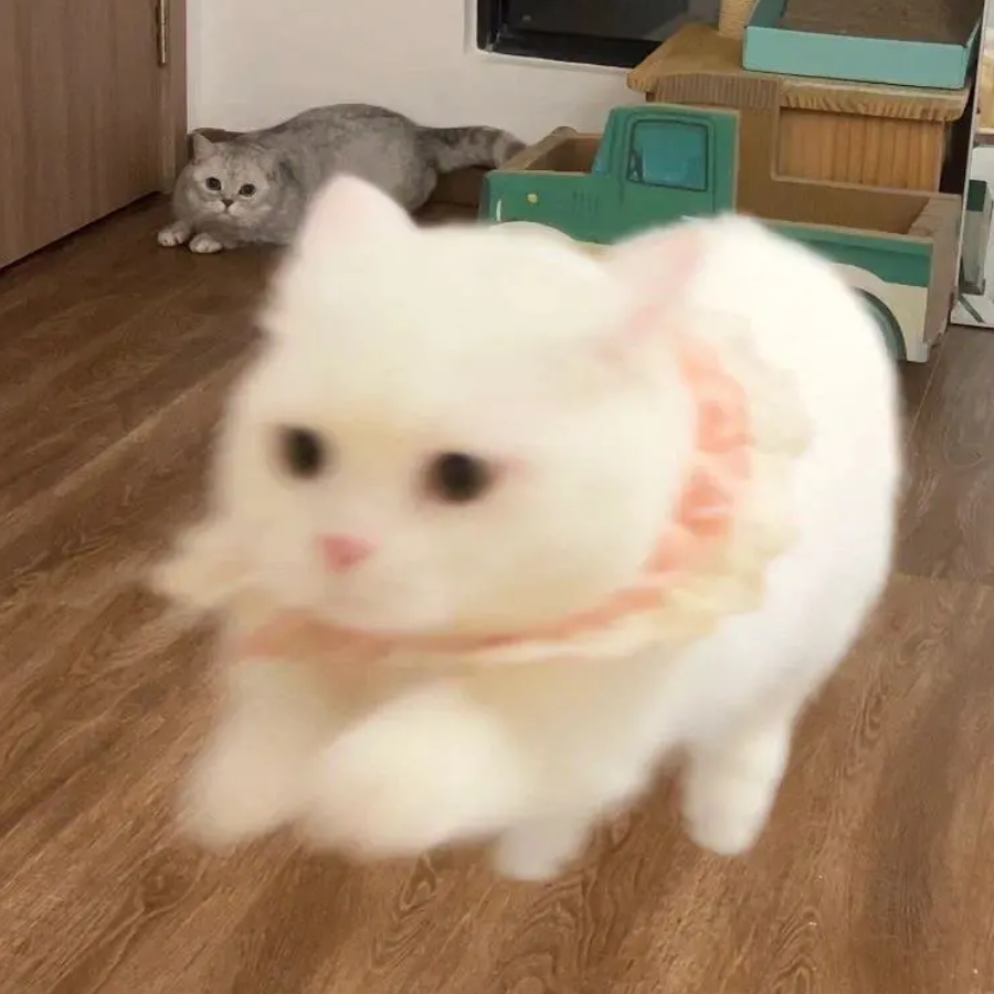 沐若曦