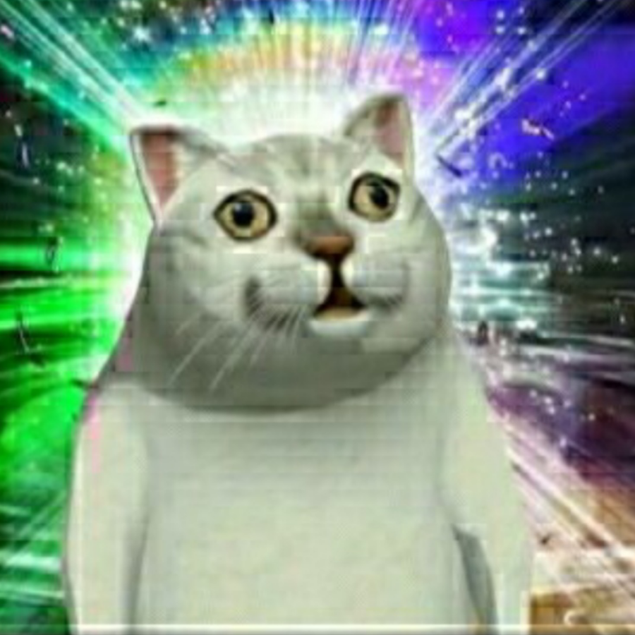 猫猫头
