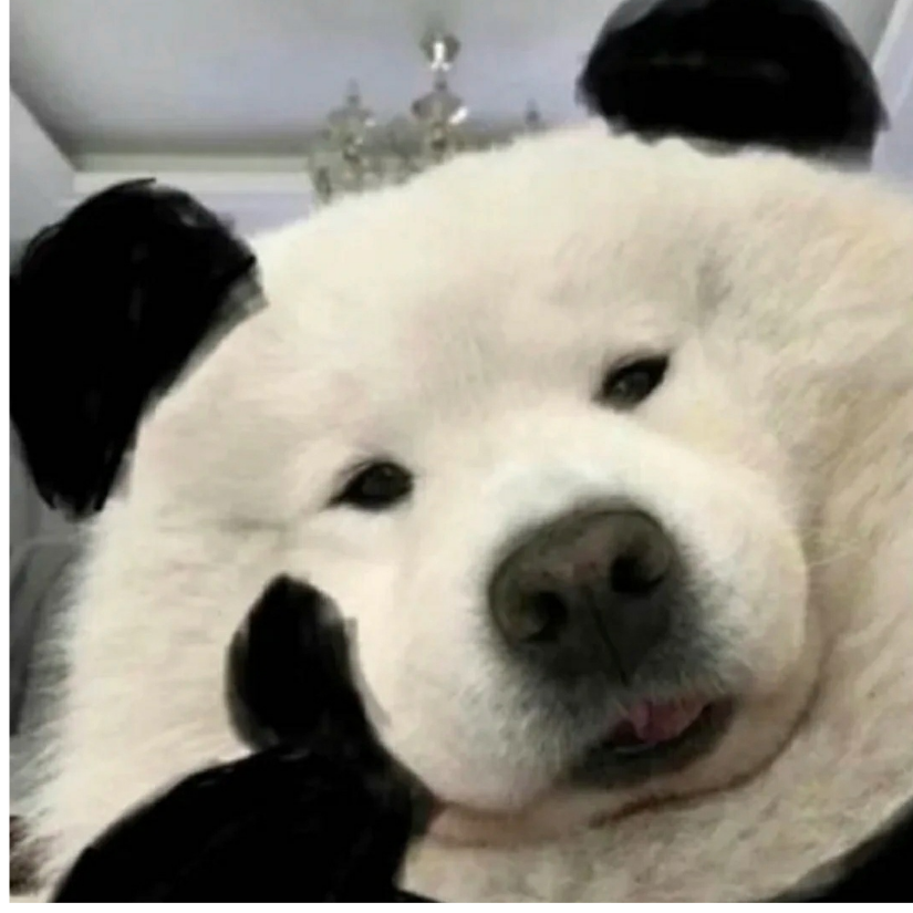 我就这样看着你