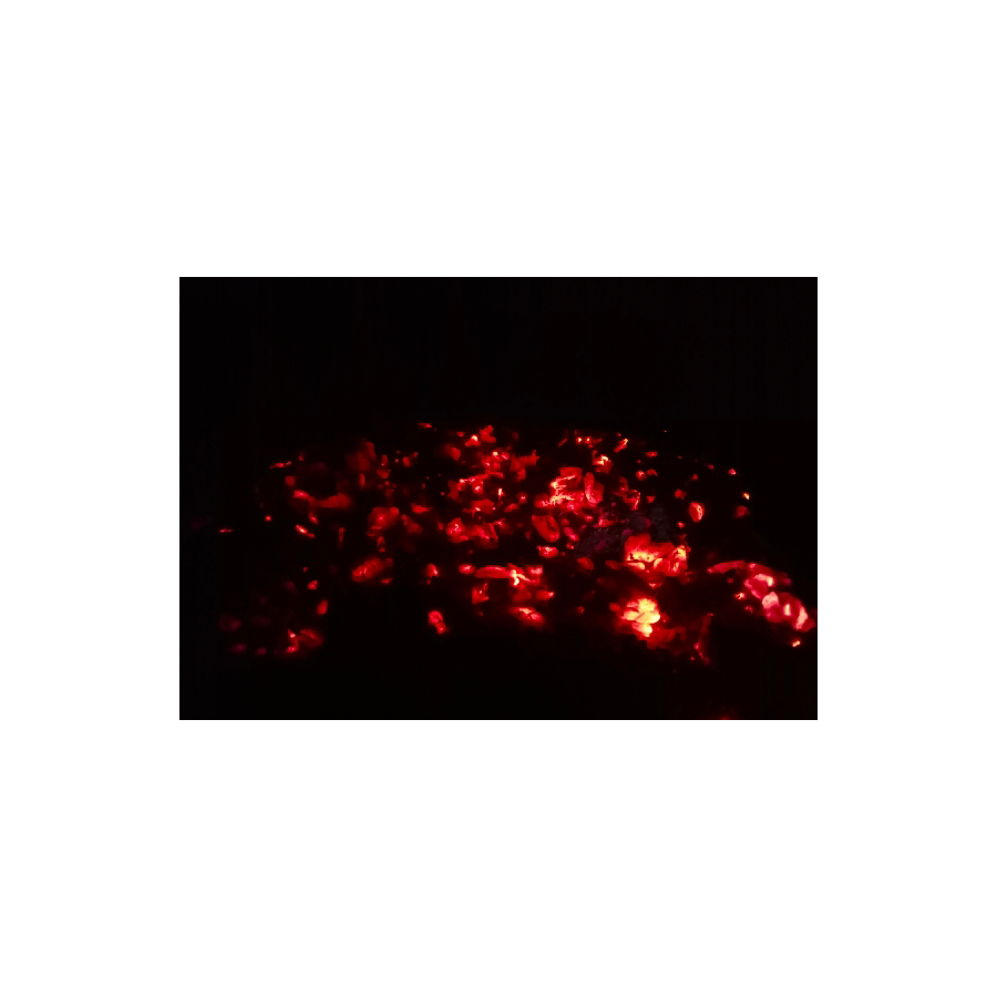 也无风雨也无晴