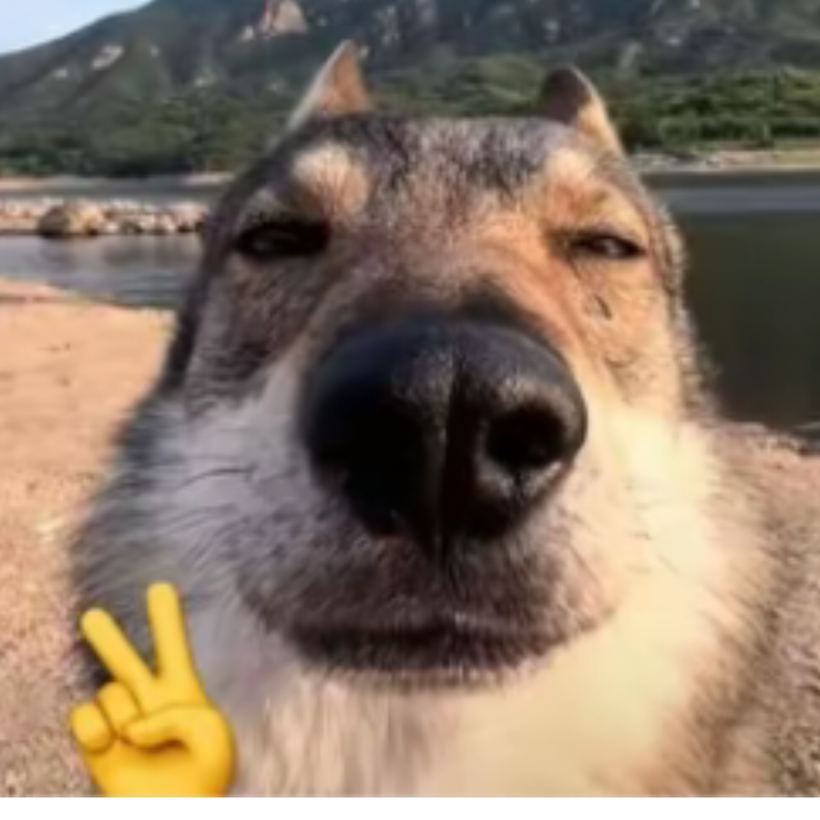 三筱