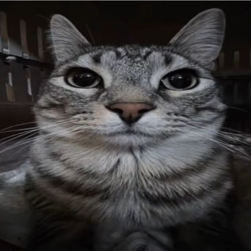 成