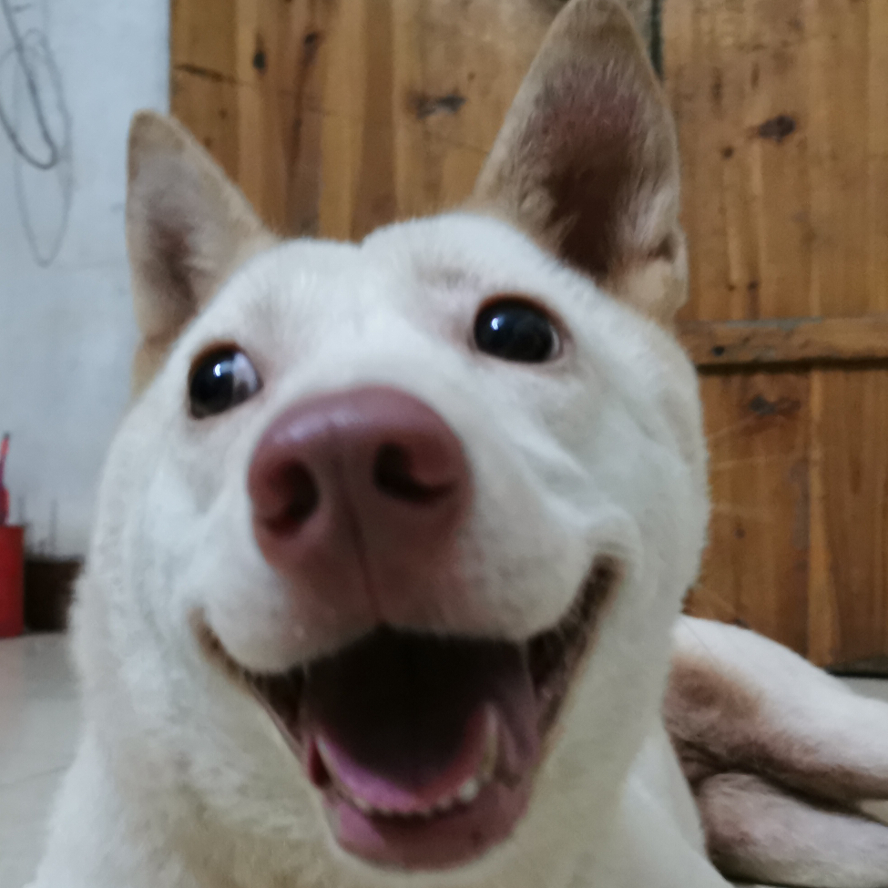刚刚到
