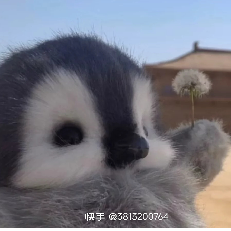 香肠派对踏风