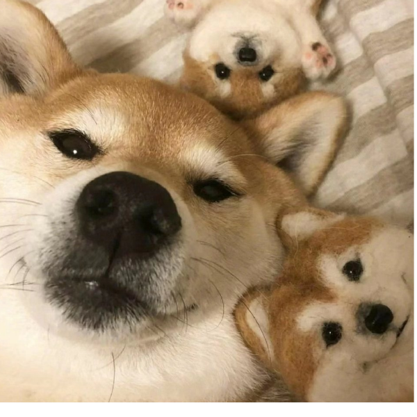 王的男人