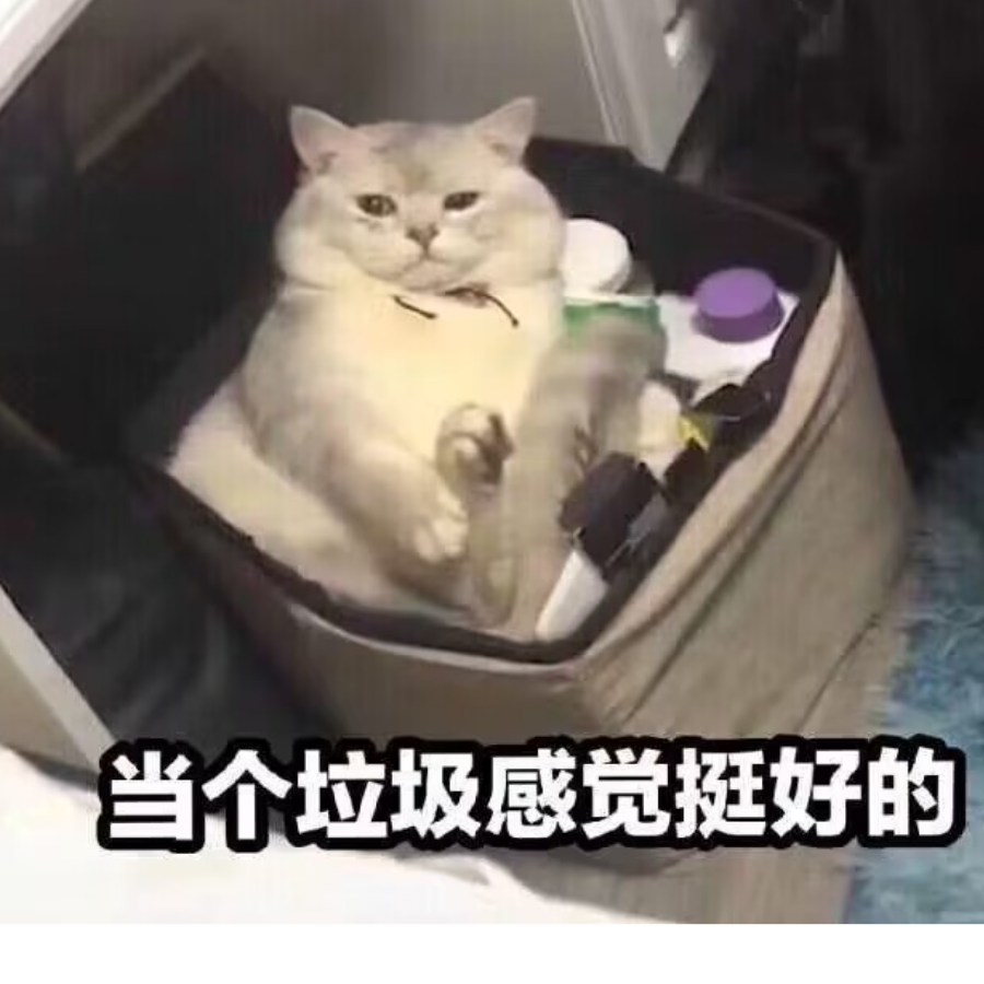 我好羡慕啊