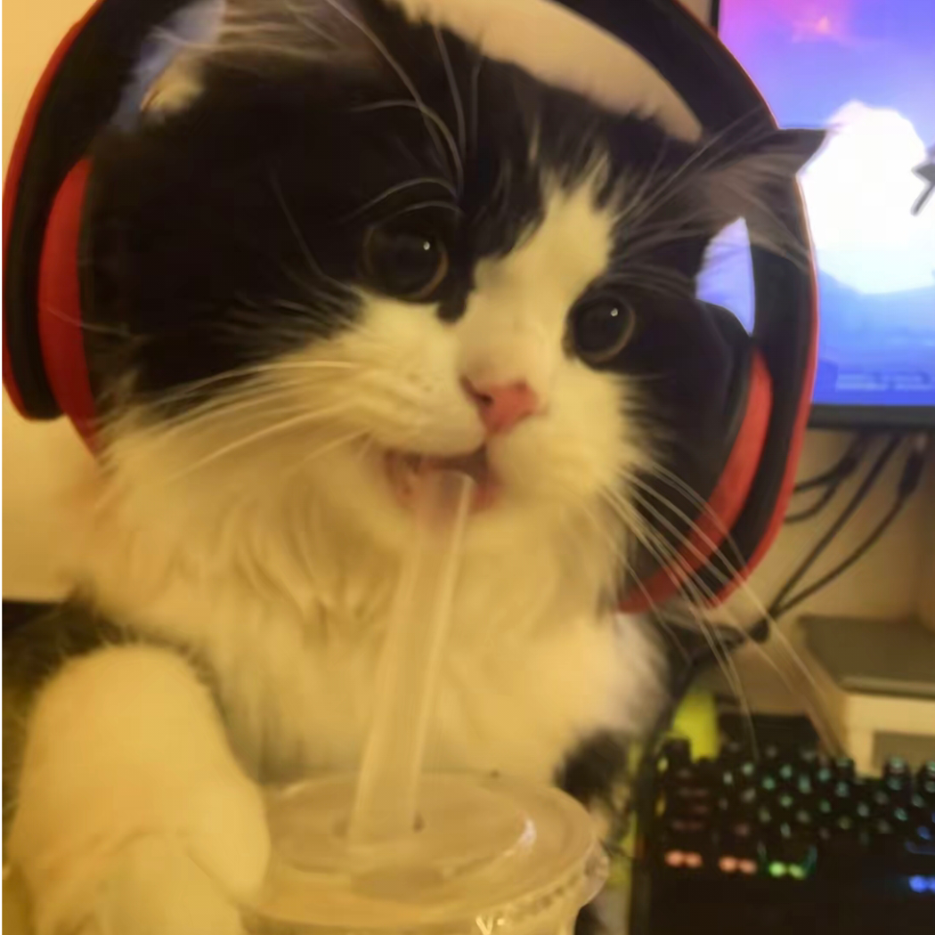 子琦