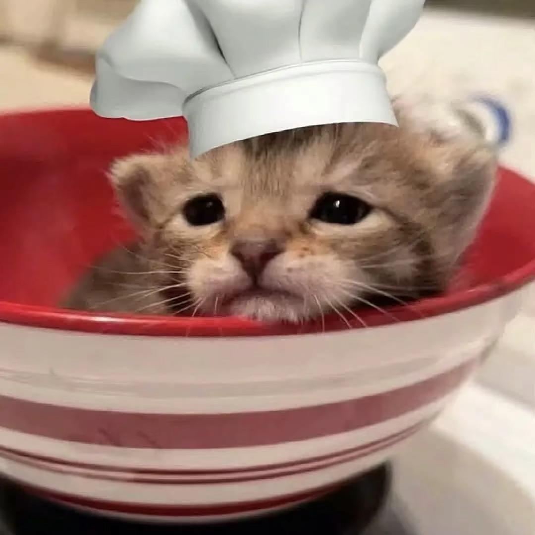 缘故