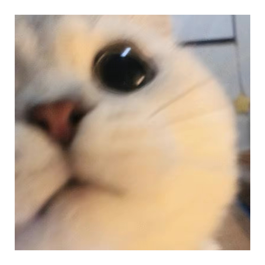 ꧁༺ 时雨 ༻꧂