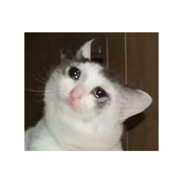 有事没事来逛逛