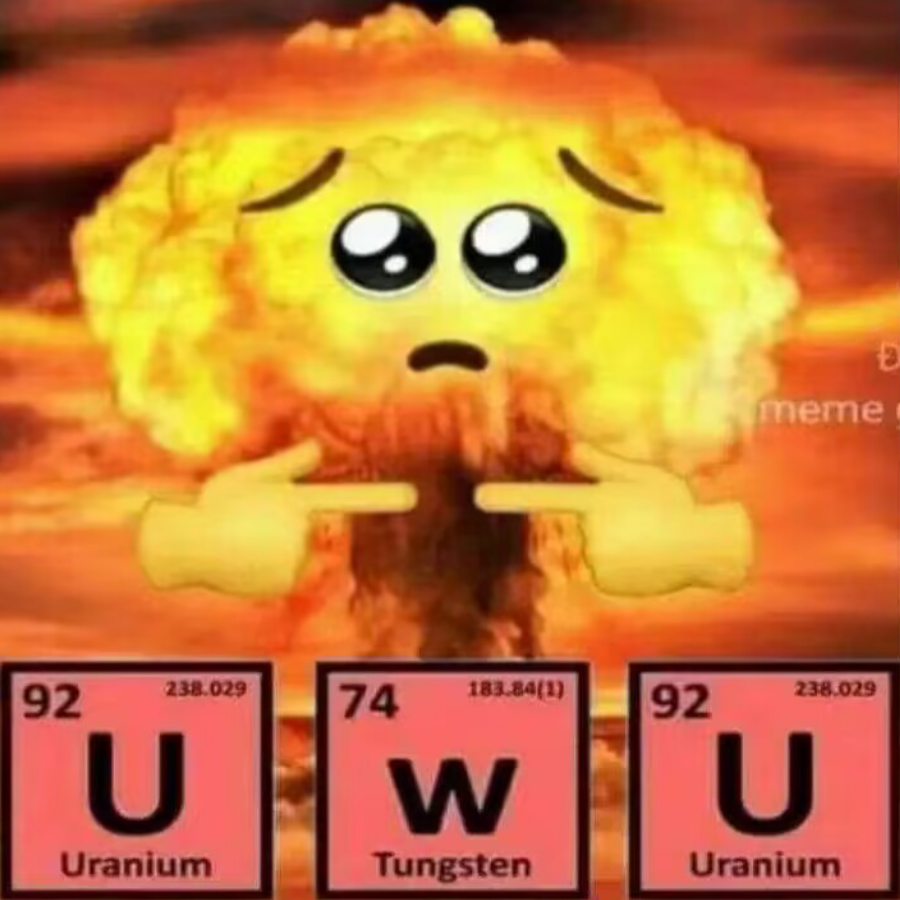 黄皮耗子QwQ