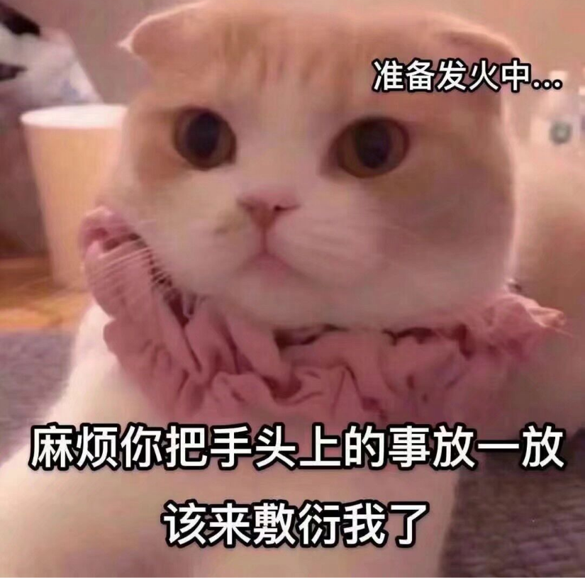 小菜鸟