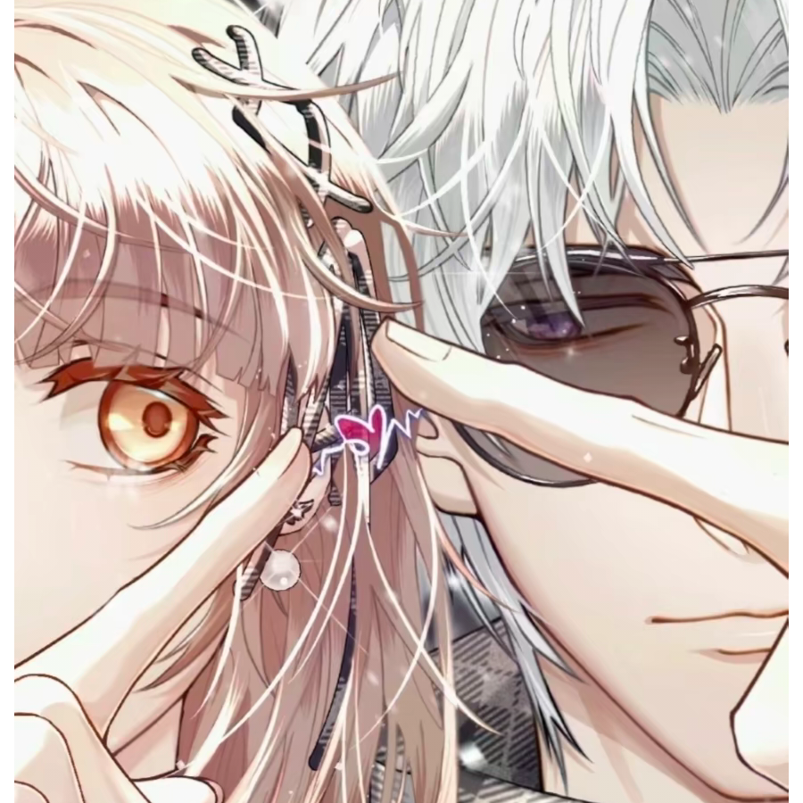 鹞
