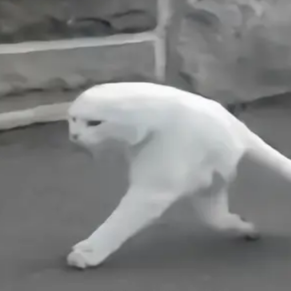 Ax