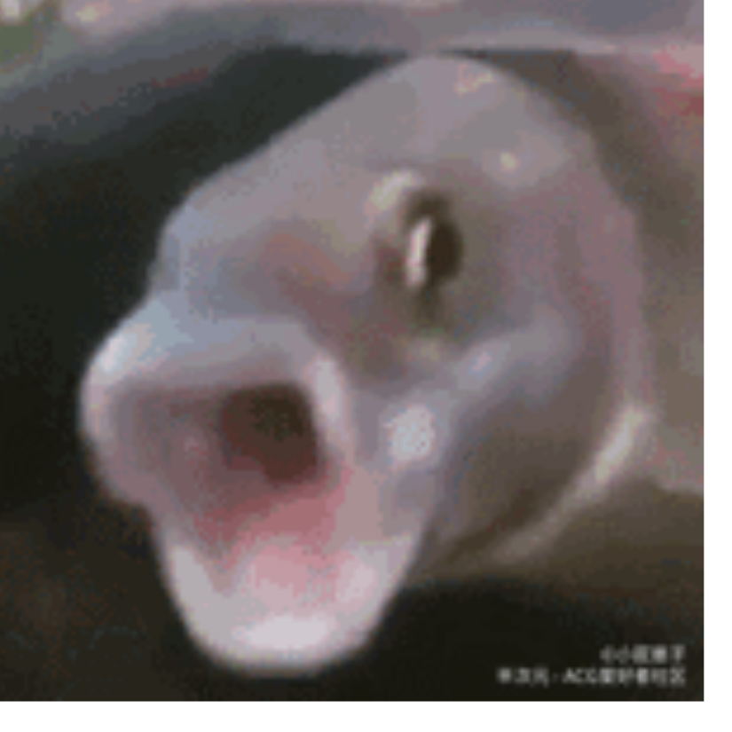闲鱼