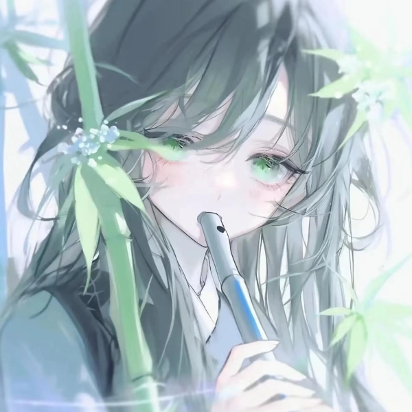 。。。。。。。。。.