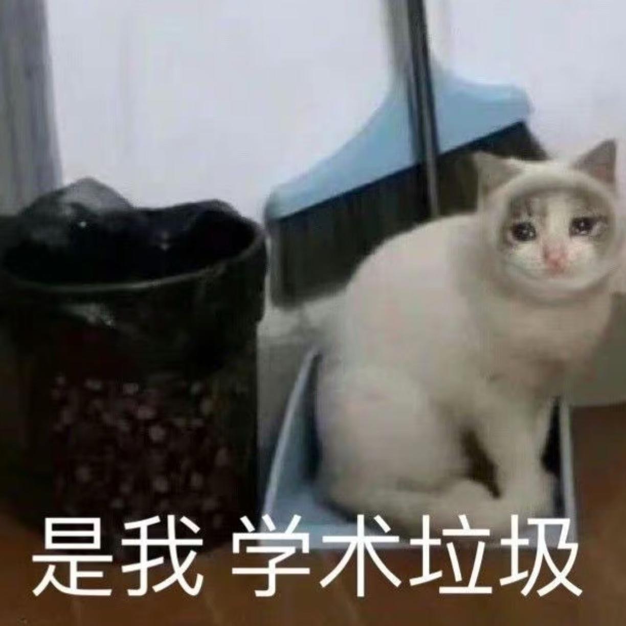 多芒白团子