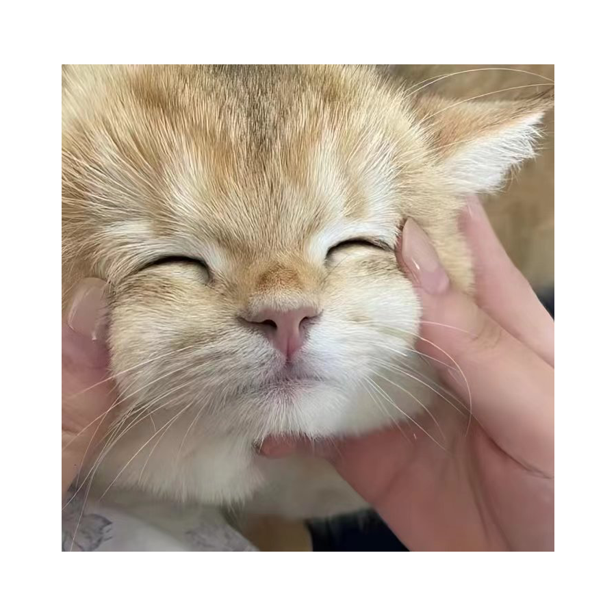丨