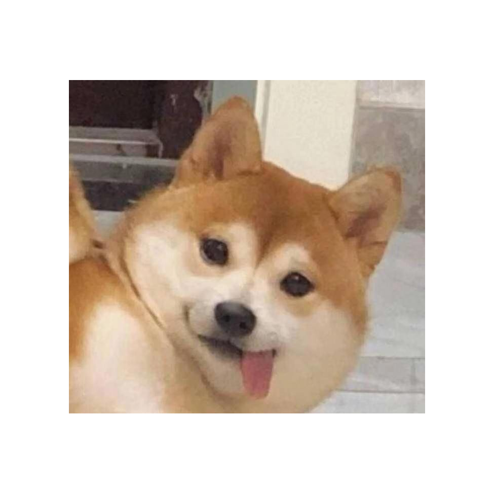 QI